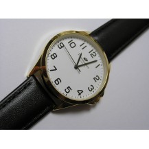 Zegarek męski Timemaster 231/02