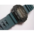 Zegarek męski Casio WS-1400H-3AVEF