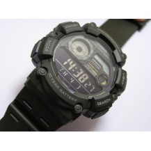 Zegarek męski Casio WS-1500H-3BVEF