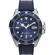 Zegarek męski Timex TW2Y05000