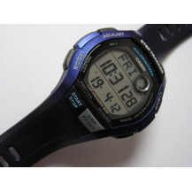 Zegarek męski Casio WS-2000H-2AVEF